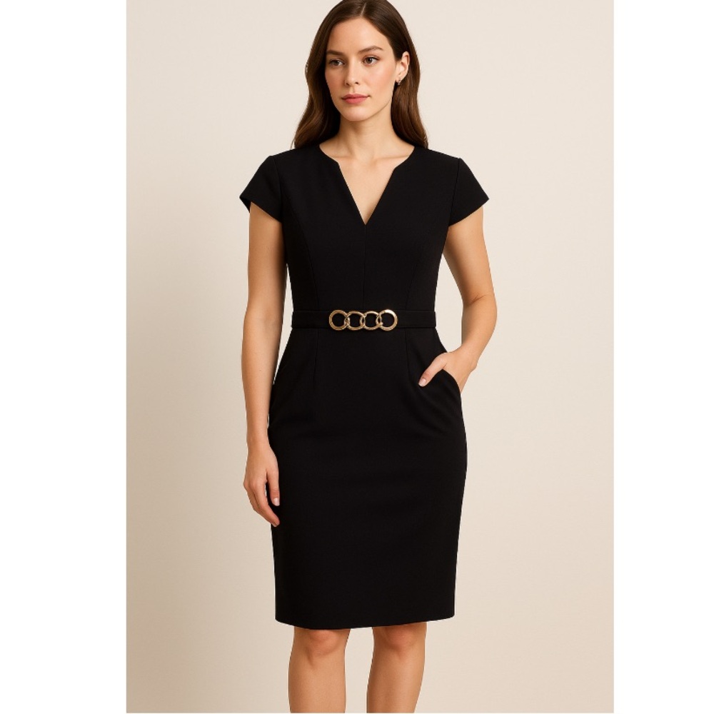 Adrianna Pappell belted Anthropologie dress